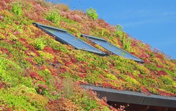 North Barningham living roof systems